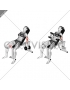 Dumbbell Incline Hammer Curl (female)