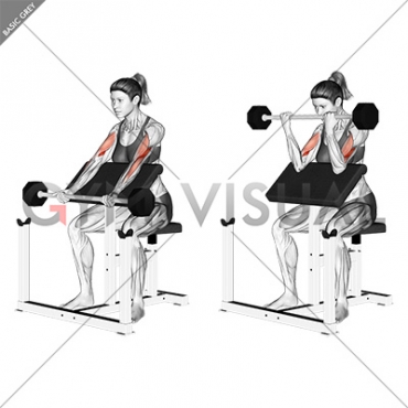 Barbell Preacher Curl (female)