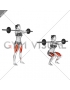 Barbell Front Squat (female)