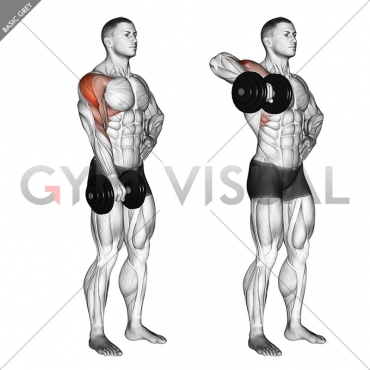 Dumbbell One Arm Upright Row