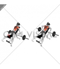 Barbell Incline Row (female)