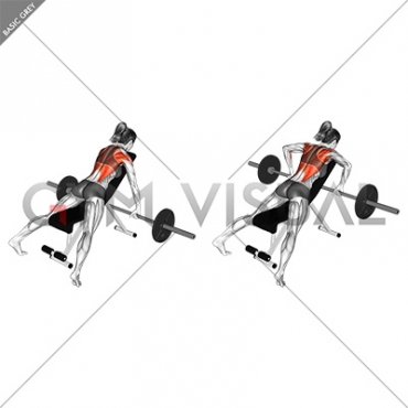 Barbell Incline Row (female)