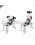 Dumbbell Incline Hammer Press (female)