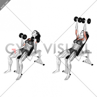 Dumbbell Incline Palm in Press (female)