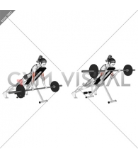 Barbell Prone Incline Curl (female)