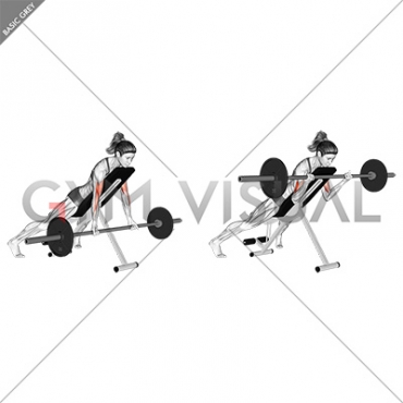 Barbell Prone Incline Curl (female)