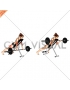 Barbell Prone Incline Curl (female)