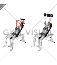 Dumbbell Incline Triceps Extension (female)