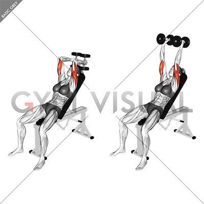 Dumbbell Incline Triceps Extension (female)