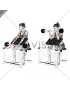 Barbell Reverse Preacher Curl (female)_Forearm