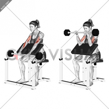 Barbell Reverse Preacher Curl (female)_Forearm