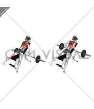 Barbell Reverse Grip Incline Row (female)