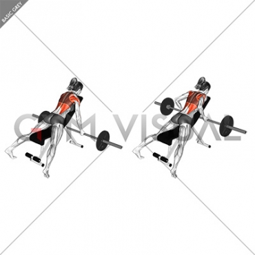 Barbell Reverse Grip Incline Row (female)