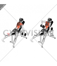 Dumbbell Reverse Grip Incline Row (female)