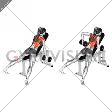 Dumbbell Reverse Grip Incline Row (female)