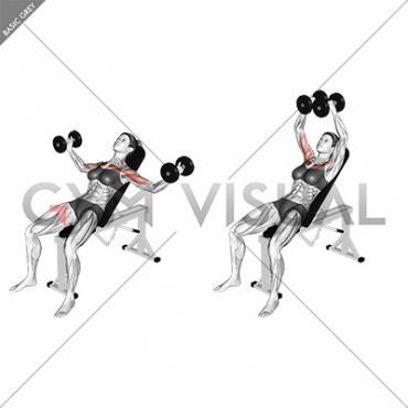 Dumbbell Incline Fly (female)