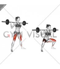 Barbell Wide Squat (female)