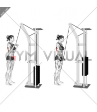 Cable Reverse grip Pushdown (female)