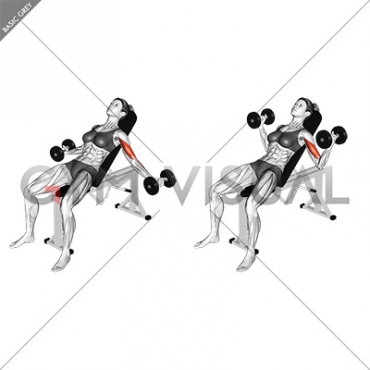 Dumbbell Incline Inner Biceps Curl (female)