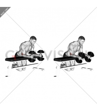 Dumbbell Over Bench Neutral Wrist Curl