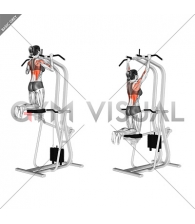 Assisted Pull up (female)
