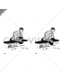 Dumbbell Over Bench One Arm  Neutral Wrist Curl