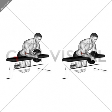 Dumbbell Over Bench One Arm  Neutral Wrist Curl