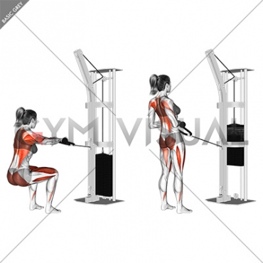 Cable Squat Row (with rope attachment) (female)