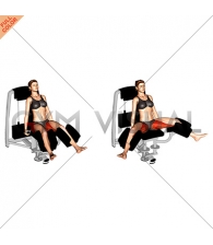 Lever Seated Hip Abduction (VERSION 2) (female)