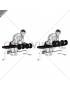 Dumbbell Over Bench Revers Wrist Curl