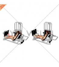 Lever Seated Calf Press (female)