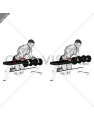 Dumbbell Over Bench Wrist Curl