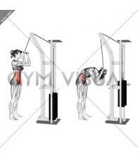 Cable Standing Crunch (female)