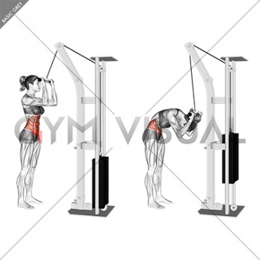 Cable Standing Crunch (female)