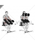 Dumbbell Peacher Hammer Curl