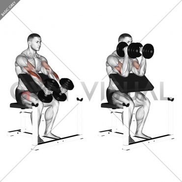 Dumbbell Peacher Hammer Curl