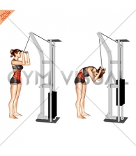 Cable Standing Crunch (female)