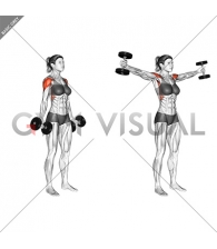 Dumbbell Full Can Lateral Raise (female)