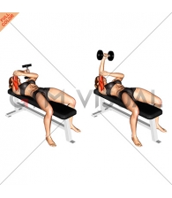 Dumbbell Lying One Arm Pronated Triceps Extension (female)