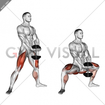 Dumbbell Plyo Squat