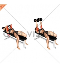 Dumbbell Lying Triceps Extension (female)