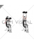 Dumbbell Seated Shoulder Press (parallel grip) (female)