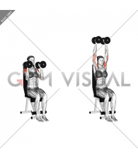 Dumbbell Seated Shoulder Press (parallel grip) (female)