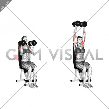 Dumbbell Seated Shoulder Press (parallel grip) (female)
