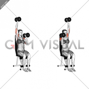 Dumbbell Seated Alternate Press (female)