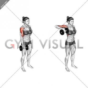 Dumbbell One Arm Upright Row (female)