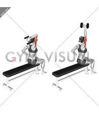 Dumbbell One Arm Triceps Extension (on bench) (female)