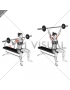 Barbell Seated Behind Head Military Press (female)