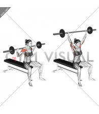 Barbell Seated Behind Head Military Press (female)