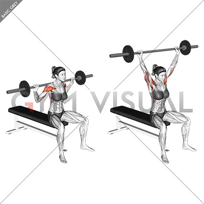 Seated Barbell Military Press Muscles Worked | Cabinets Matttroy